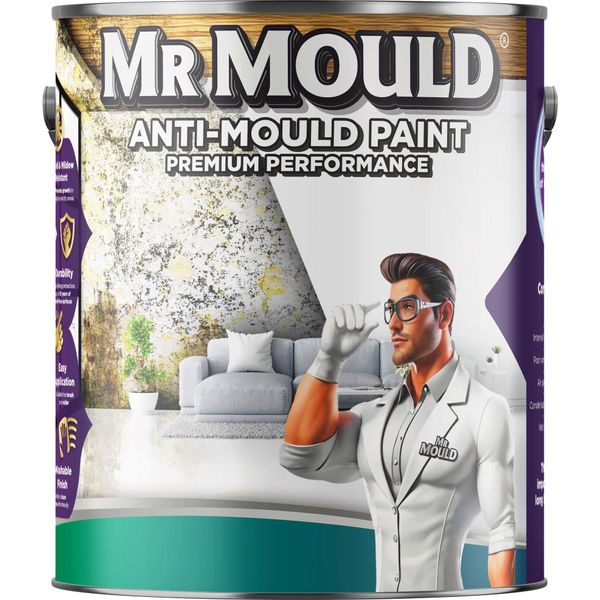Mr Mould Anti D amp P aint | Matt Finish Paint | Damp Seal Prevent Build-up of Mildew | Damp Proof Paint for Wall and Ceiling | Anti Condensation Paint | Mould Paint (Sage Green, 5 Liters)