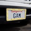 GRAPHICS & MORE Yellow Honeycomb Pattern License Plate Tag Frame