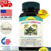 Cognitive Supplement – Improve Focus, Memory & Brain Health, Ships Free