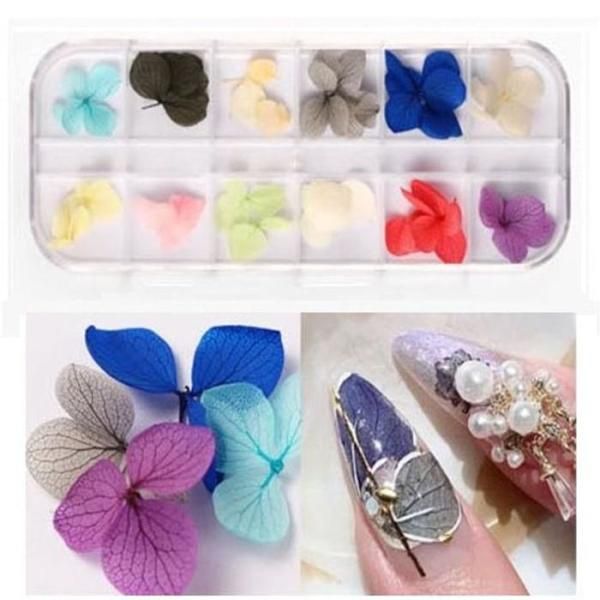 [OFKK1M1S] Nail fresh flower dried flower dried flower gel nail