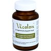 Vicolon, 30 St KAP