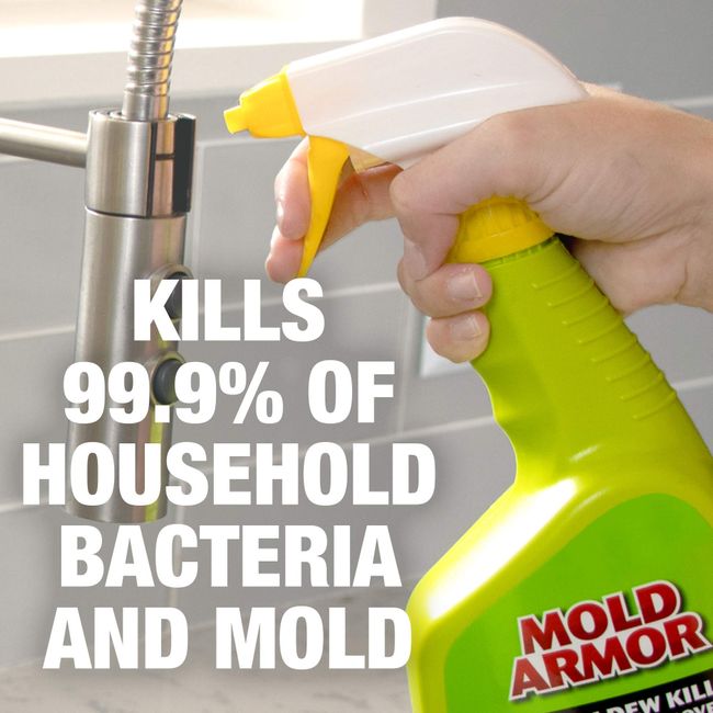 MOLD ARMOR CLEANER 1 GAL