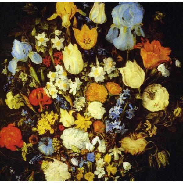 Young Moon - Navigated Like the Swan [New CD]