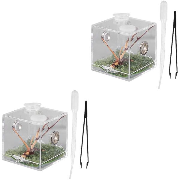 POPETPOP 2 Stücke Spinne Terrarium Spinne Spinne Box Reptil Terrarium Kit Spinne Behälter Lebensraum Box Reptil