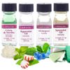 LorAnn SS Mint Variety pack, 1 dram (.0125 fl oz - 3.7ml) bottles - 4 pack