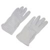 INEX SB-03B Anti-Static Gloves