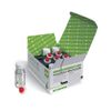 HOLIDAY Lozione Inguine Ritardante PAPAINA * 6 Pezzi D408 Bodycare