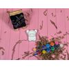 Paint Your Own Craft Fun Animals Set - DIY Gift, Plaster Panting, Paint Box