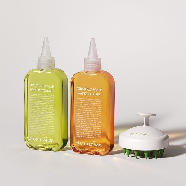 [Naver Exclusive] Turmeric &amp; Tea Tree Scaler 250ml x 2 + Shampoo Brush Set