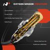 A-Premium O2 Oxygen Sensor Compatible with Ford Transit Connect 2010 2011 2012 2013, 2.0L, Upstream and Downstream, 2-PC Set, Replace# AT1Z9G444A