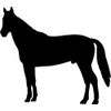 Horse Stallion Car,Camper Van Window Sticker Decals ~6
