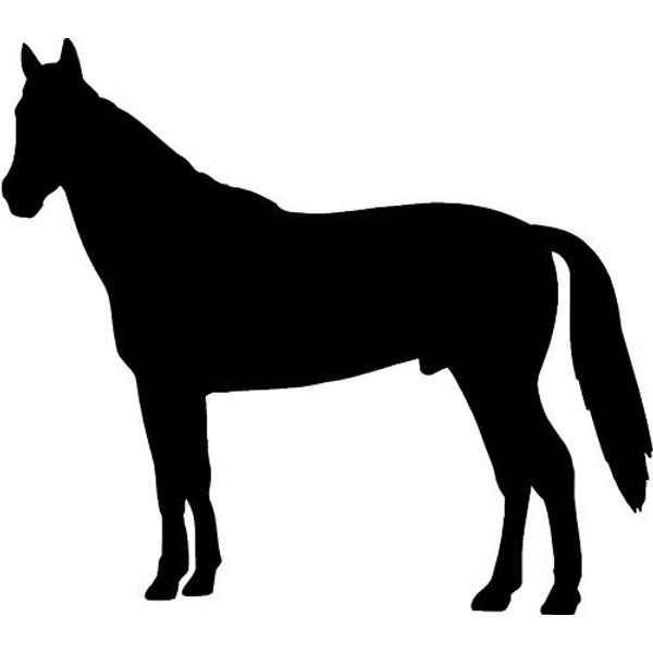 Horse Stallion Car,Camper Van Window Sticker Decals ~6