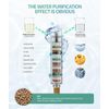 Filtered Shower Head with Handheld, High Pressure 9 Spray Mode Chrome Showerhead