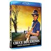 Crossroads ( Mississippi Adventure ) [ Blu-Ray, Reg.A/B/C Import - Spain ]