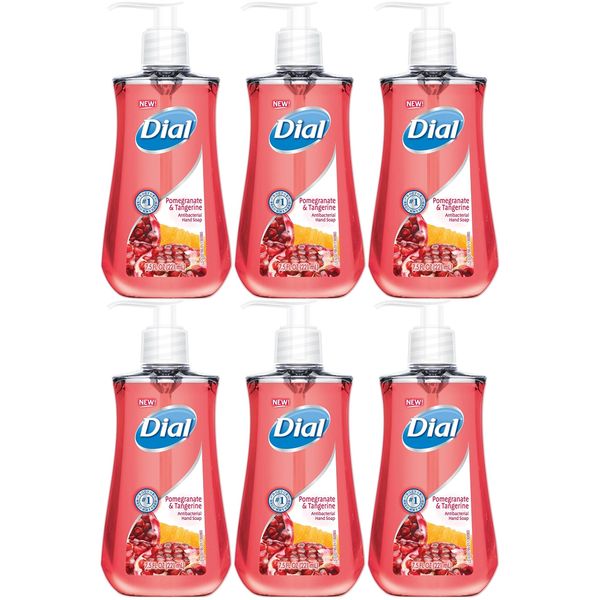 DIA02795 - Dial Pomegranate Antibacterial Hand Soap - 6 Pack