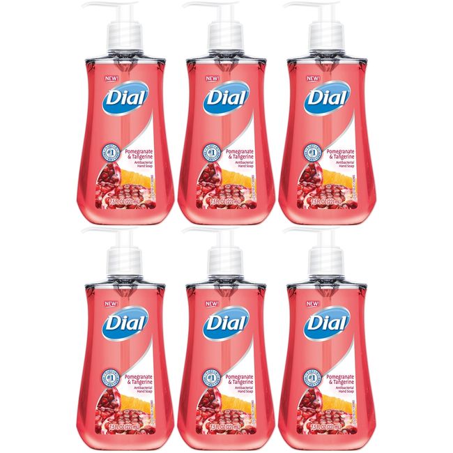 DIA02795 - Dial Pomegranate Antibacterial Hand Soap - 6 Pack