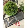 Lithe Everyday 6 Piece Assorted Cosmetic Brush Set~Highlighte