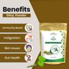 Giloy Powder - 100% Pure Extract for Immunity & Illness Support