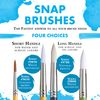 Princeton SNAP BRUSH WHITE TAKLON ROUND 12