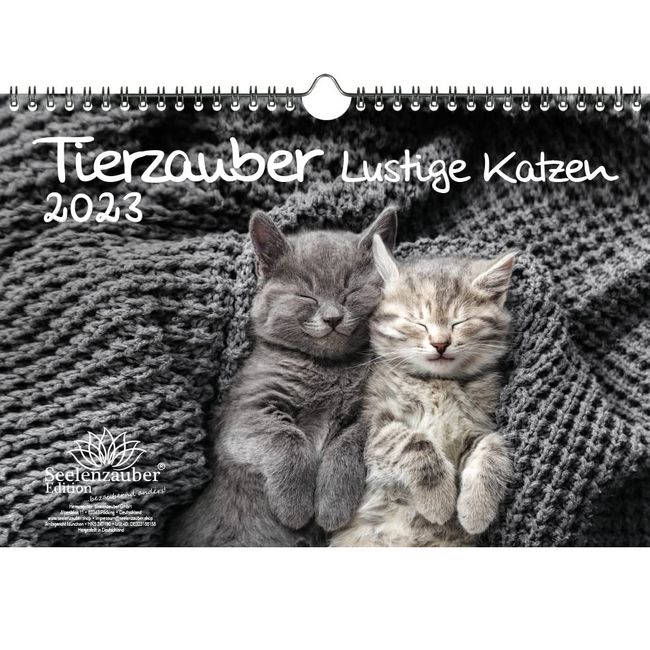 Tierzauber lustige Katzen DIN A4 Kalender für 2023 Lustige Momente mit Katzen - Seelenzauber