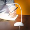 Eaxus® LED Desk Lamp - USB or Batteries. Flexible Bendable, Dimmable, White