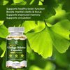GINKGO BILOBA 500 mg - Cognitive Support - Memory & Concentration - 120 Capsules