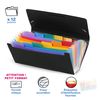 Viquel 110887 12 Positions Rainbow Class Expanding Document Folder, 26 x 13 cm