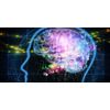 Immune support formula - BRAIN & MEMORY BOOSTER - gingko biloba capsules - 1B