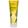 Desert Essence Organic Shampoo, Lemon Tea Tree, 8 fl oz (237 ml)