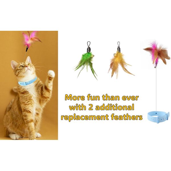 KOTYA 3-in-1 Cat Teasing Wand Silicone Collar Hands Free Toy with Bell and 3 Natural Feathers (Sky Blue)