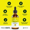 Mullein Drops for Lungs Cleanse - Organic Mullein Leaf Extract w/ Turmeric (2oz)