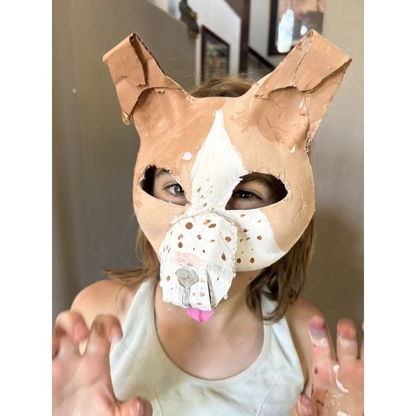 Border Collie Therain Mask￼￼