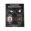 One Fang/Bone/Skin/Rattle Rattlesnake Pack (AR-598-50PK) C4E
