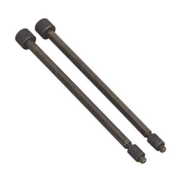 Sealey Vs803/02 Door Hinge Removal Pins