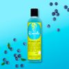 Curls Blueberry Bliss CURL Control Jelly