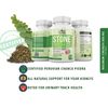 Stone Breaker Chanca Piedra 120 Count