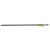 Bear X 6-Pack Truex Crossbow Arrows - 20", ACBK20, Black