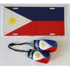 Flagline Philippines - Boxing Glove and License Plate Combo