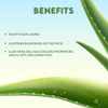Jovees Aloe Vera Moisturising Lotion - 100 Ml