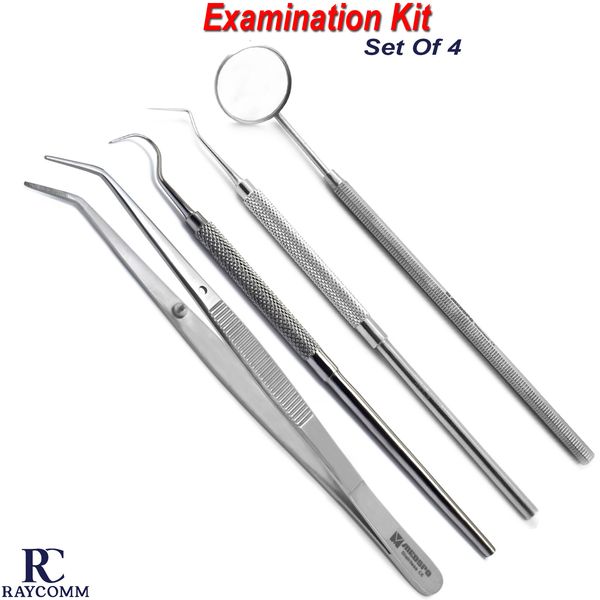 Hygiene Teeth Cleaning Kit Floss Plaque Remover Care Tooth Scraper Dentist Tools