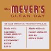 Mrs. Meyer's Hand Soap, Made with Essential Oils, Biodegradable Formula, Limited Edition Apple Cider, 12.5 oz - Pack of 3