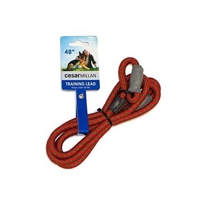 Cesar millan hotsell dog harness