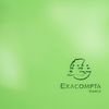Exacompta - Ref 55673E - Iderama PP Collection - Translucent Elasticated 3-Flap Folder - Suitable for A4 Documents, 0.5mm Polypropylene - Lime Green (Pack of 15)