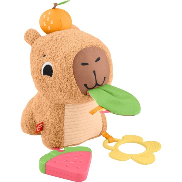 Fisher-Price Baby Sensory Toy Snuggly Snacky Capybara Plush with Newborn Teether & Rattle Activities for Infants Ages 3+ Months