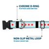 Buckle-Down Plastic Clip Collar - Chicago Flags/Black - 1/2" Wide - Fits 8-12" Neck - Medium