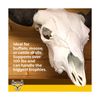 Buffalo Bracket for Large Size Game - 100lbs Capacity Skull Wall Mount - Idea...