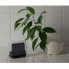 Face Soap Case 421809 