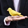 bh7643 hansa canary 9
