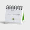 DaySpring - Max Lucado - You'll Get Through This: Hope and Help for Your Turbulent Times - An Inspirational DaySpring Day Brightener - Perpetual Calendar (26083)