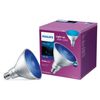 LED Lamp, PAR38 Bulb Shape, 13.5W, 120V